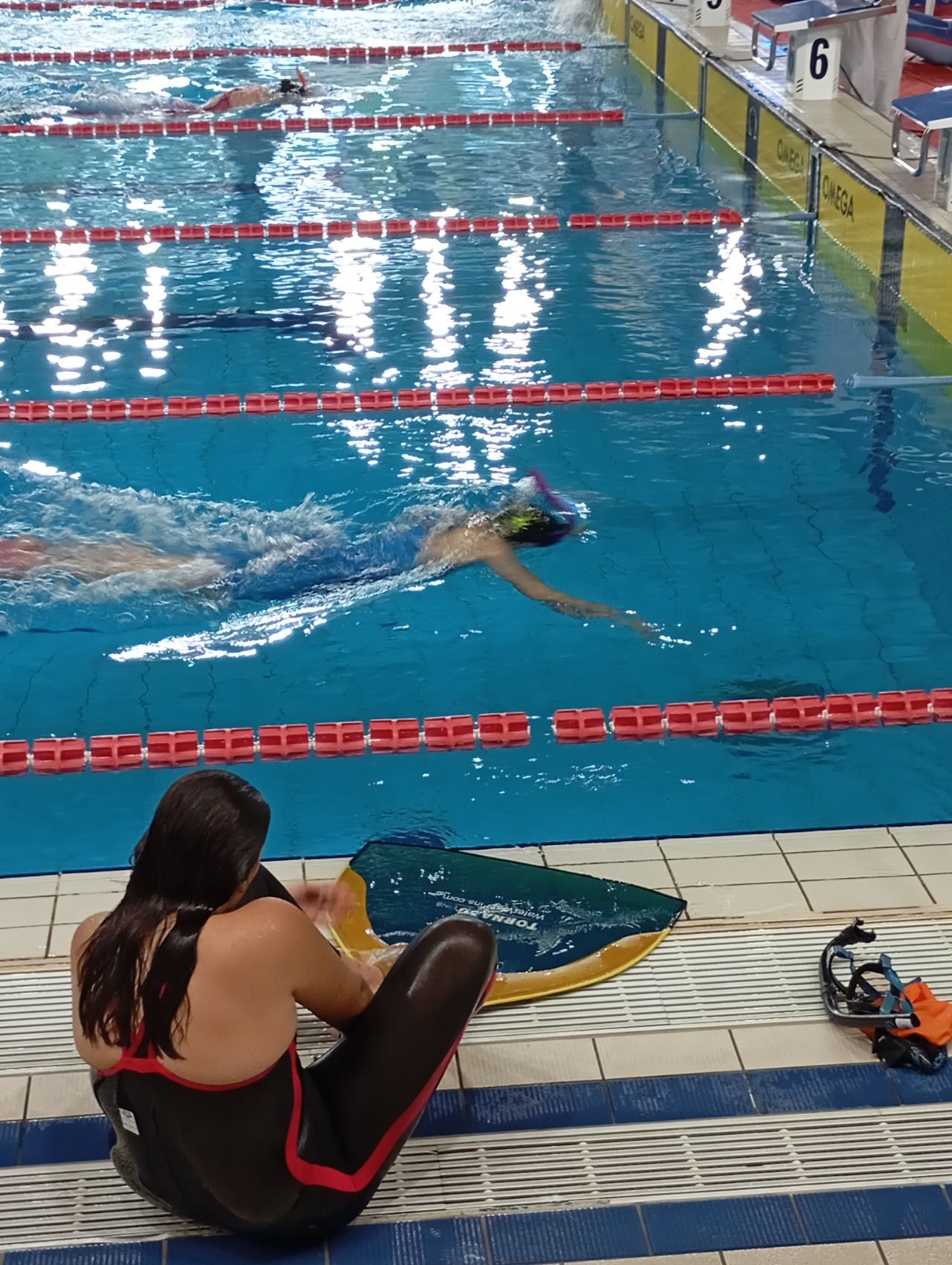Schwimmerinnen und Schwimmer im olympischen 50-Meter-Becken