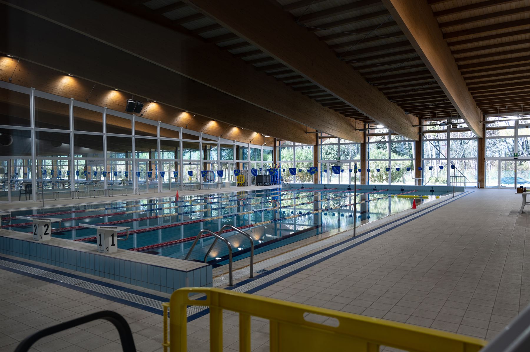 Das 50-Meter-Becken im Hallenbad mit Startblöcken, Holzdach und Fensterfront zum Pinienwald
