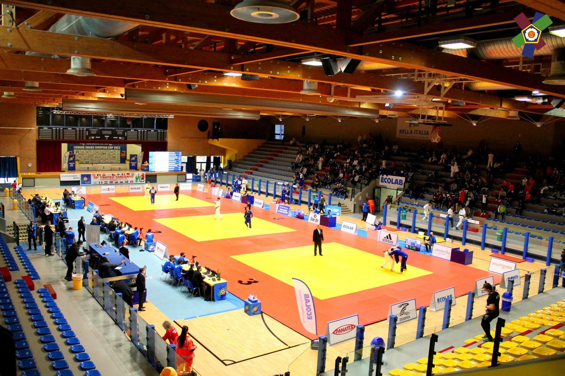 Judoturnier in der Sporthalle, 3 Wettkampfmatten nebeneinander
